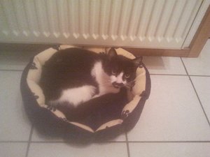 2012-09-16 00.33.47.jpg