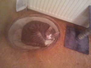 2012-09-16 00.34.27.jpg