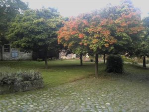 2012-09-16 07.45.16.JPG 2012-09-16 07.45.16.JPG