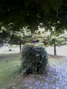 2012-09-16 07.45.34.JPG 2012-09-16 07.45.34.JPG