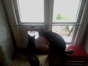 2012-09-15 07.11.52.JPG 2012-09-15 07.11.52.JPG