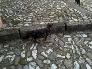 2012-09-16 08.09.46.JPG 2012-09-16 08.09.46.JPG