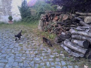 2012-09-16 07.47.41.JPG 2012-09-16 07.47.41.JPG