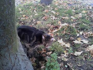 2012-09-16 08.11.39.JPG 2012-09-16 08.11.39.JPG