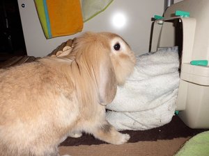 CIMG2299 - Kopie.JPG