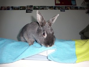 CIMG2739 - Kopie.JPG