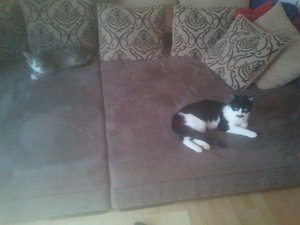 2012-09-20 18.33.32.jpg