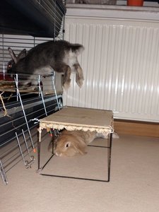 CIMG2720 - Kopie2.jpg