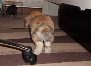 CIMG2301 - Kopie.JPG