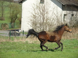 DSC07577_Bildgröße ändern.JPG