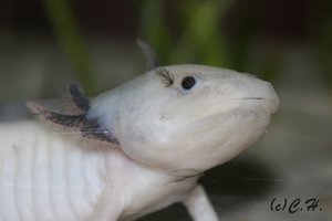 IMG_0061.JPG IMG_0061.JPG