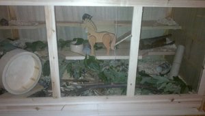 2012-09-29-563 - Kopie.jpg