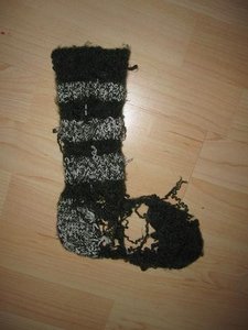 IMG_6176.jpg IMG_6176.jpg