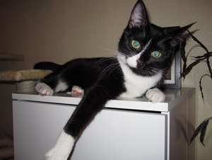 IMG_3193.jpg IMG_3193.jpg