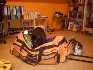 tysongepäck.jpg tysongepäck.jpg