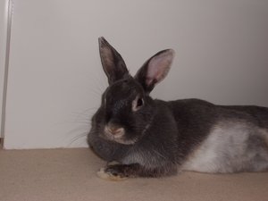 CIMG3392 - Kopie.JPG