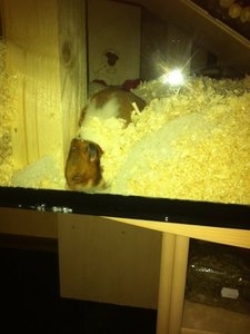 beim graben.jpg beim graben.jpg