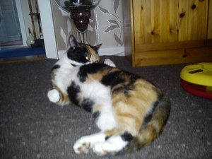 im sexy and i know it.jpg im sexy and i know it.jpg