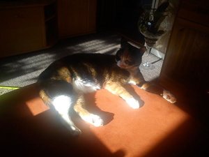 rubysonne.jpg rubysonne.jpg