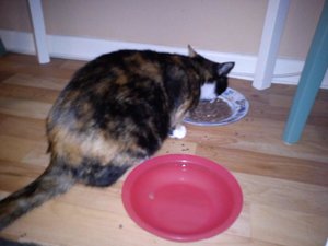 rubyfressen.jpg rubyfressen.jpg