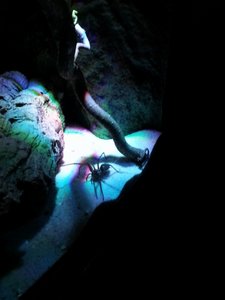 20121006_170156 (600x800) (480x640).jpg