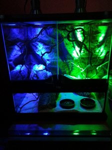 20121006_164519 (480x640).jpg