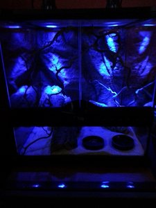 20121006_164550 (480x640).jpg