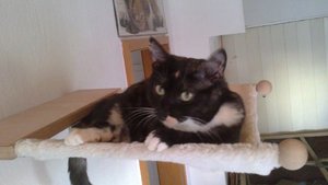 19092012379.jpg 19092012379.jpg