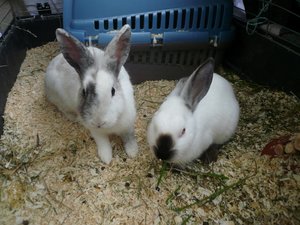 Oktober 2012 077.JPG