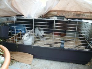 Oktober 2012 079.JPG