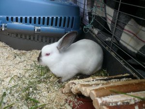 Oktober 2012 073.JPG