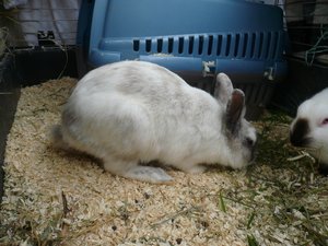 Oktober 2012 074.JPG