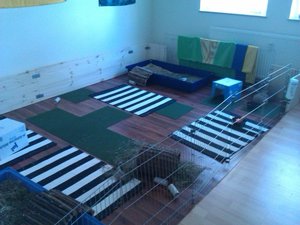 IMAG0140.jpg IMAG0140.jpg