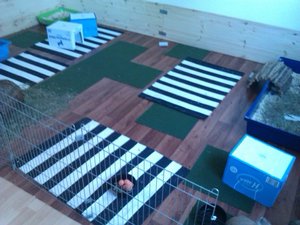 IMAG0142.jpg IMAG0142.jpg