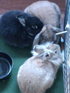 IMAG0168.jpg IMAG0168.jpg