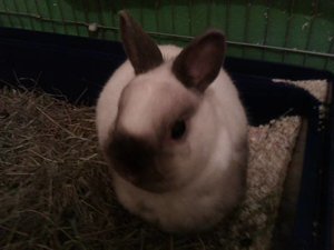 IMAG0186.jpg IMAG0186.jpg