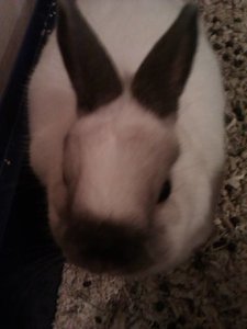 IMAG0189.jpg IMAG0189.jpg