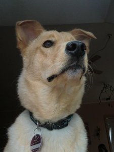 k-Mogli von unten.jpg