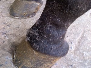 IMG-20120617-00196.jpg IMG-20120617-00196.jpg