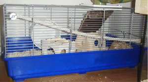 DSCF3717B.JPG DSCF3717B.JPG