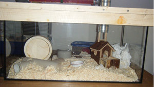 DSCF3715B.JPG DSCF3715B.JPG