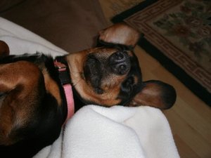 K640_24 Feb 2012 123.JPG