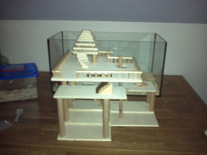 IMG098B.jpg IMG098B.jpg