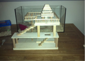 IMG101B.jpg IMG101B.jpg