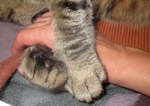 481020_4444060254878_1624108116_n.jpg 481020_4444060254878_1624108116_n.jpg