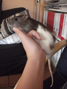 neue fotos 8.9.12 009.JPG