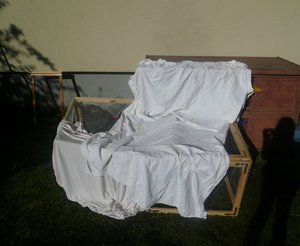 häsli2012 oktober 052.JPG