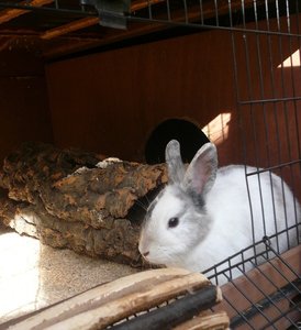 häsli2012 oktober 025.JPG