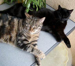 3866336430633435.jpg 3866336430633435.jpg