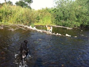 Sito-neu5 Wasserspaß.JPG